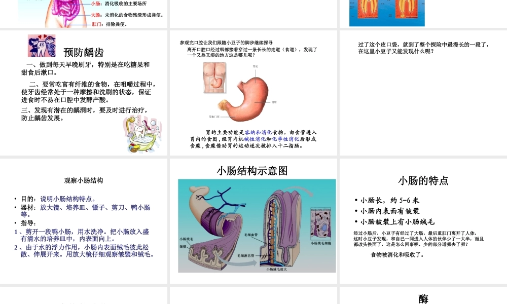 2014七年级生物下册 4.9.2 人体的消化和吸收课件一 （新版）苏教版