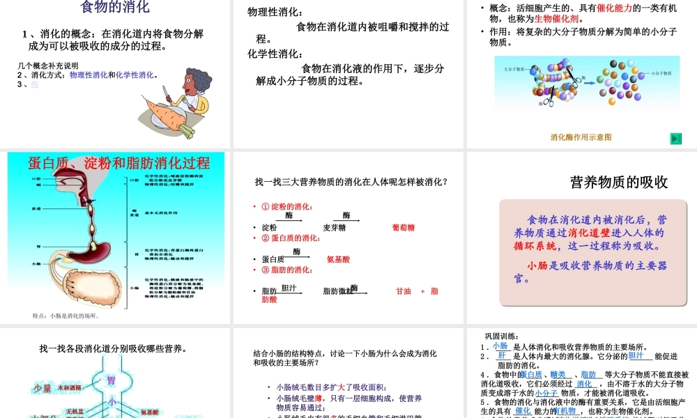 2014七年级生物下册 4.9.2 人体的消化和吸收课件一 （新版）苏教版