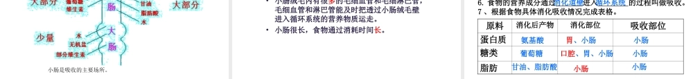 2014七年级生物下册 4.9.2 人体的消化和吸收课件一 （新版）苏教版