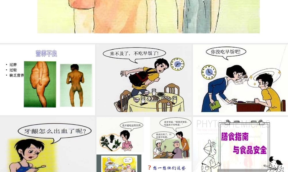 2014七年级生物下册 4.9.3 膳食指南与食品安全课件二 （新版）苏教版