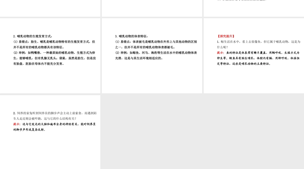 2014年秋八年级生物上册 5.1.7 哺乳动物课件 （新版）新人教版