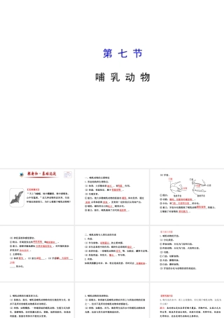 2014年秋八年级生物上册 5.1.7 哺乳动物课件 （新版）新人教版
