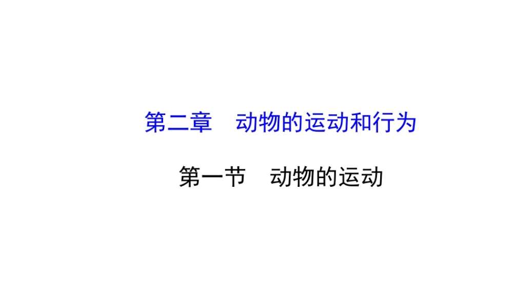 2014年秋八年级生物上册 5.2.1 动物的运动课件 （新版）新人教版