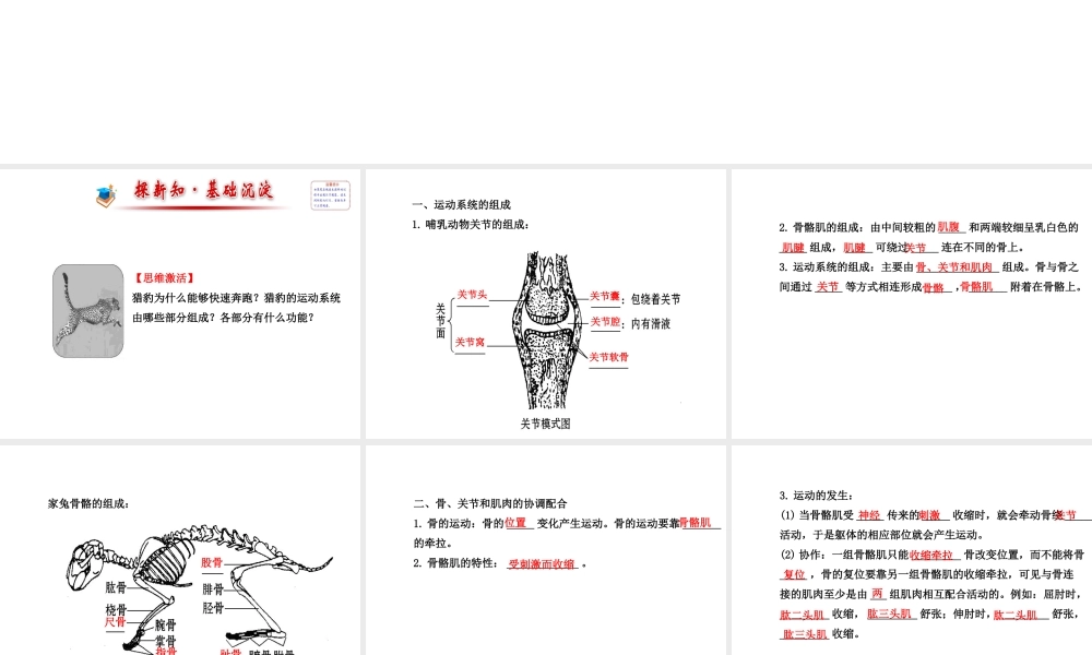 2014年秋八年级生物上册 5.2.1 动物的运动课件 （新版）新人教版