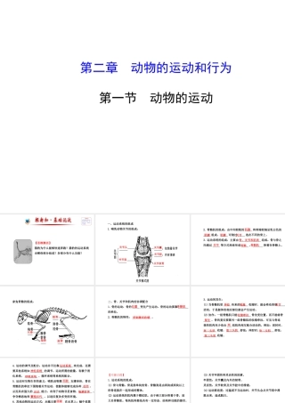 2014年秋八年级生物上册 5.2.1 动物的运动课件 （新版）新人教版