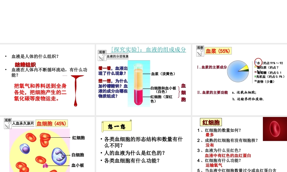 2014七年级生物下册 4.10.1 血液和血型课件二 （新版）苏教版