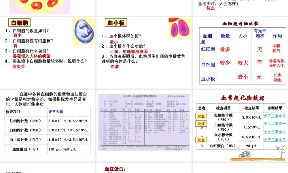 2014七年级生物下册 4.10.1 血液和血型课件二 （新版）苏教版