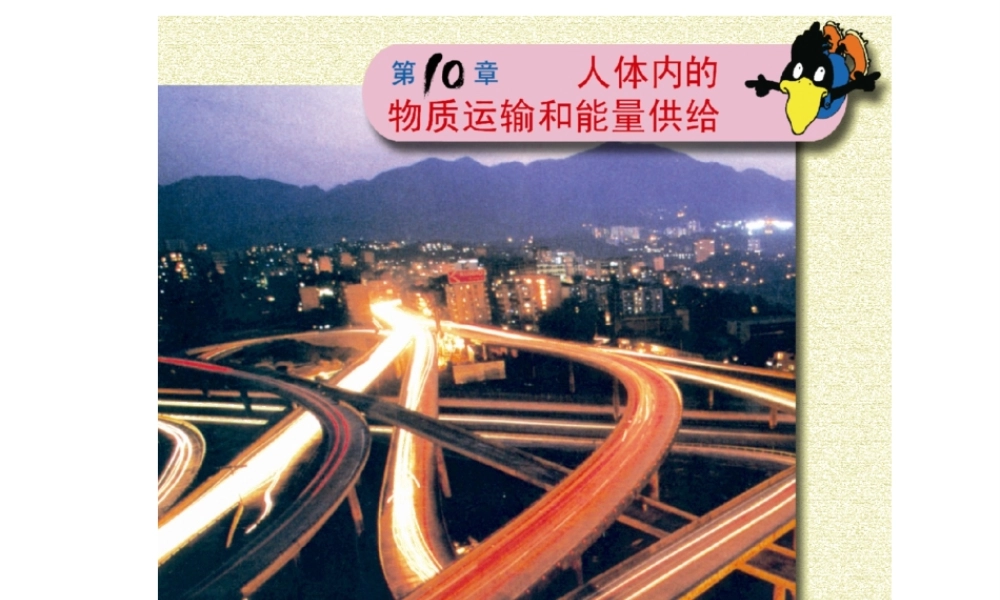 2014七年级生物下册 4.10.1 血液和血型课件一 （新版）苏教版