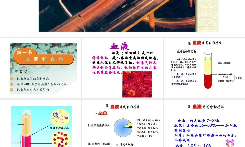 2014七年级生物下册 4.10.1 血液和血型课件一 （新版）苏教版