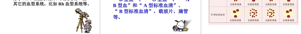2014七年级生物下册 4.10.1 血液和血型课件一 （新版）苏教版