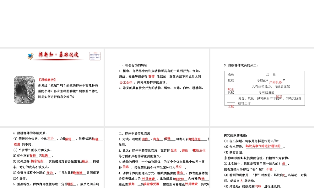 2014年秋八年级生物上册 5.2.3 社会行为课件 （新版）新人教版