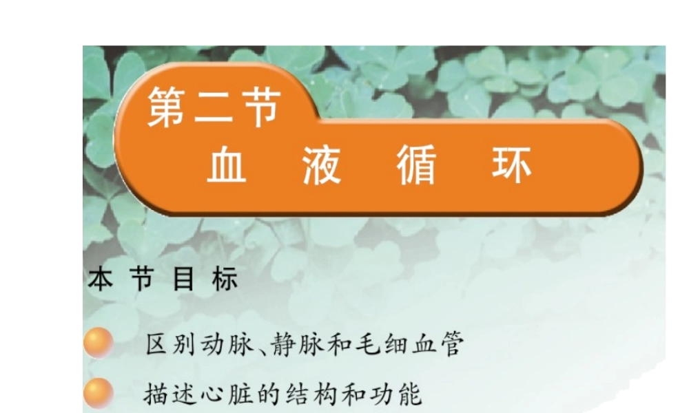 2014七年级生物下册 4.10.2 人体的血液循环课件二 （新版）苏教版