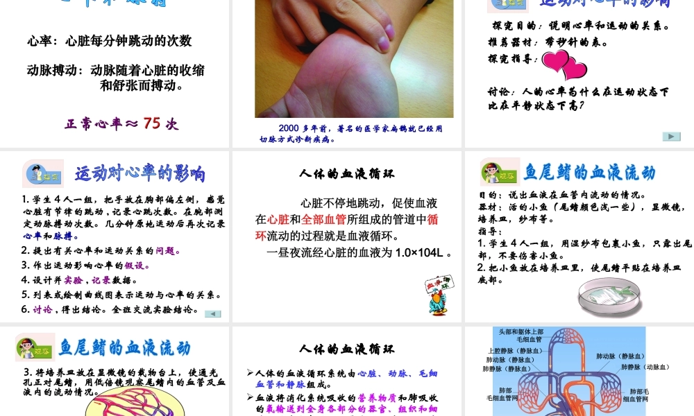 2014七年级生物下册 4.10.2 人体的血液循环课件二 （新版）苏教版