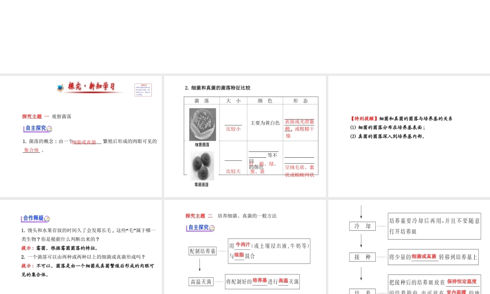 2014年秋八年级生物上册 5.4.1 细菌和真菌的分布课件 （新版）新人教版