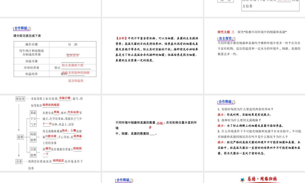 2014年秋八年级生物上册 5.4.1 细菌和真菌的分布课件 （新版）新人教版