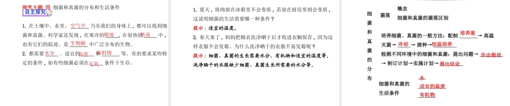 2014年秋八年级生物上册 5.4.1 细菌和真菌的分布课件 （新版）新人教版