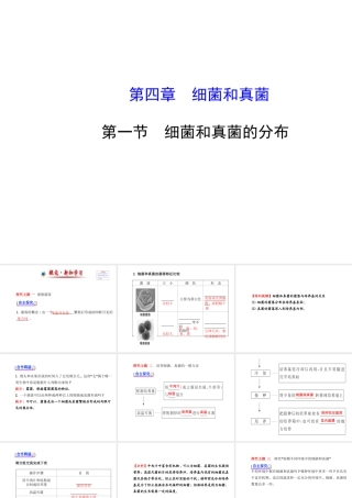 2014年秋八年级生物上册 5.4.1 细菌和真菌的分布课件 （新版）新人教版