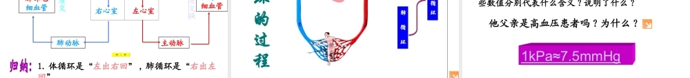 2014七年级生物下册 4.10.2 人体的血液循环课件一 （新版）苏教版