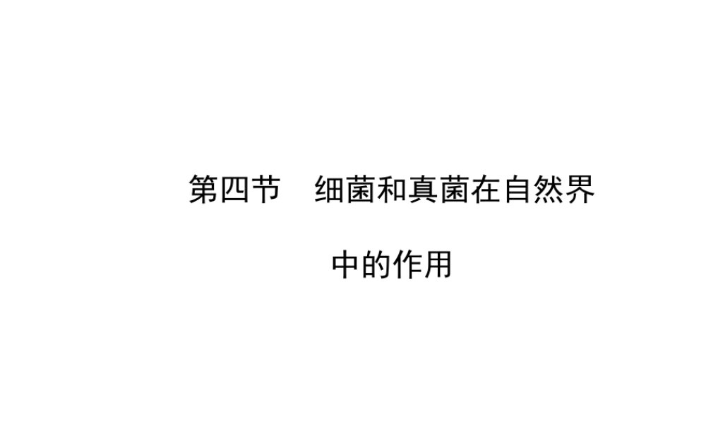 2014年秋八年级生物上册 5.4.4 细菌和真菌在自然界中的作用课件 （新版）新人教版
