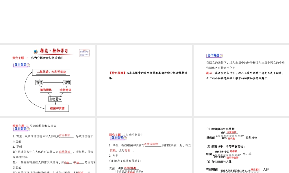 2014年秋八年级生物上册 5.4.4 细菌和真菌在自然界中的作用课件 （新版）新人教版
