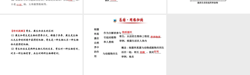 2014年秋八年级生物上册 5.4.4 细菌和真菌在自然界中的作用课件 （新版）新人教版