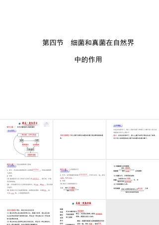 2014年秋八年级生物上册 5.4.4 细菌和真菌在自然界中的作用课件 （新版）新人教版