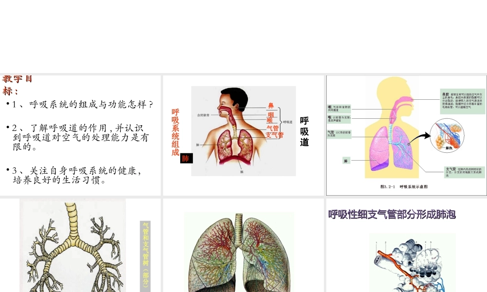 2014七年级生物下册 4.10.3 人体和外界环境的气体交换课件二 （新版）苏教版
