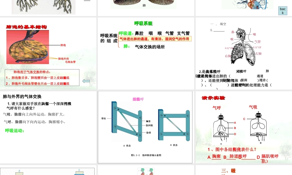 2014七年级生物下册 4.10.3 人体和外界环境的气体交换课件二 （新版）苏教版