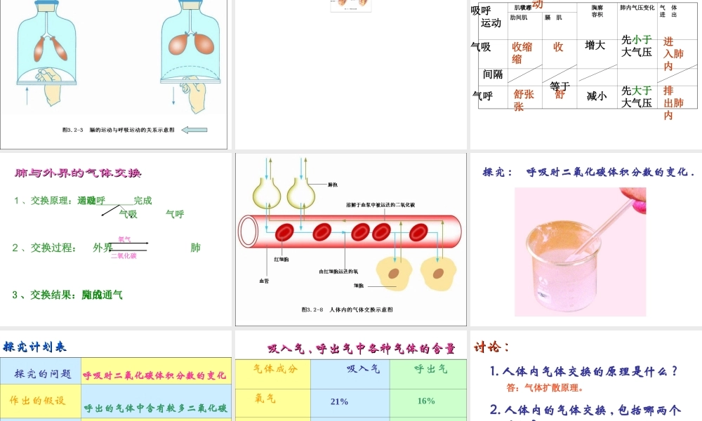2014七年级生物下册 4.10.3 人体和外界环境的气体交换课件二 （新版）苏教版