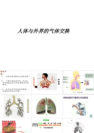 2014七年级生物下册 4.10.3 人体和外界环境的气体交换课件二 （新版）苏教版