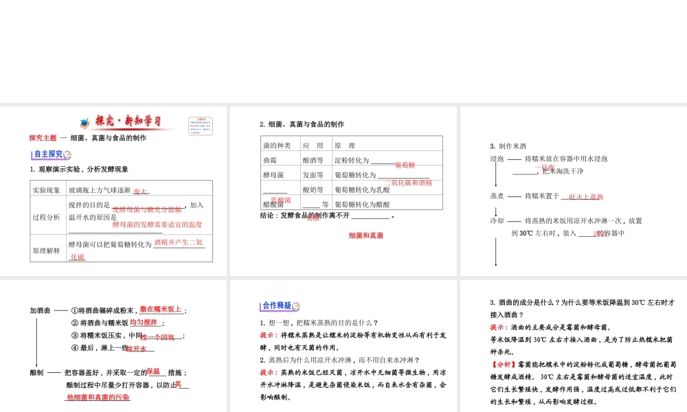 2014年秋八年级生物上册 5.4.5 人类对细菌和真菌的利用课件 （新版）新人教版
