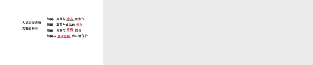 2014年秋八年级生物上册 5.4.5 人类对细菌和真菌的利用课件 （新版）新人教版