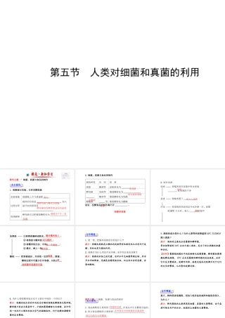 2014年秋八年级生物上册 5.4.5 人类对细菌和真菌的利用课件 （新版）新人教版