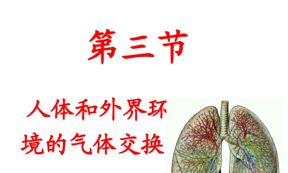 2014七年级生物下册 4.10.3 人体和外界环境的气体交换课件一 （新版）苏教版