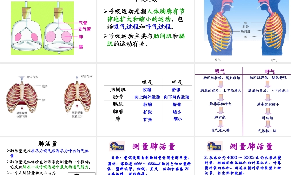 2014七年级生物下册 4.10.3 人体和外界环境的气体交换课件一 （新版）苏教版