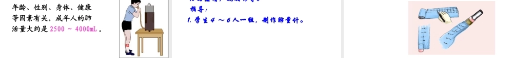 2014七年级生物下册 4.10.3 人体和外界环境的气体交换课件一 （新版）苏教版