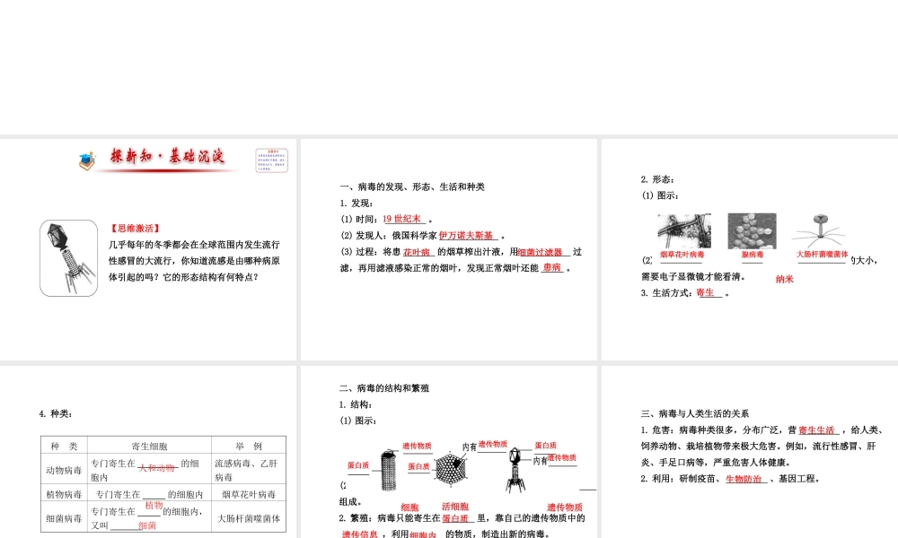 2014年秋八年级生物上册 5.5 病毒课件 （新版）新人教版