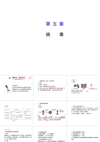 2014年秋八年级生物上册 5.5 病毒课件 （新版）新人教版