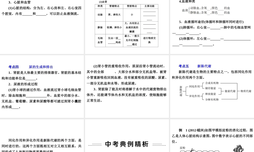 2014年中考科学专题复习 第一部分 生命科学 5 人体的新陈代谢课件