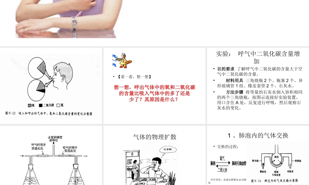 2014七年级生物下册 4.10.4 人体内的气体交换课件二 （新版）苏教版