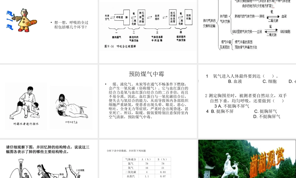 2014七年级生物下册 4.10.4 人体内的气体交换课件二 （新版）苏教版
