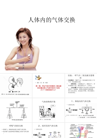 2014七年级生物下册 4.10.4 人体内的气体交换课件二 （新版）苏教版