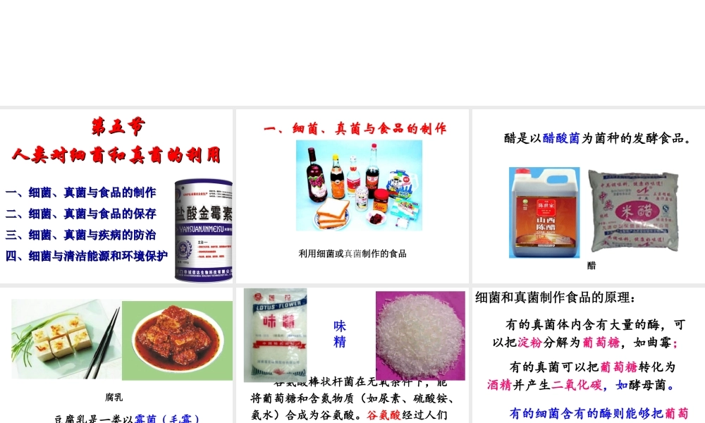 2014年秋八年级生物上册 5.5.2 人类对细菌和真菌的利用课件 新人教版