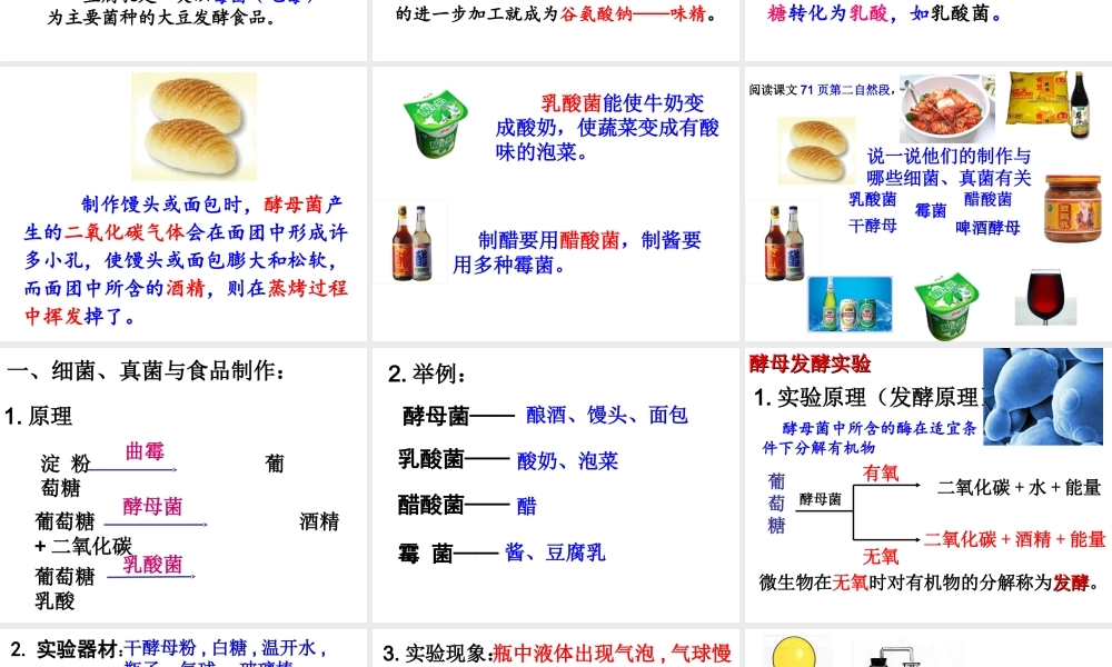 2014年秋八年级生物上册 5.5.2 人类对细菌和真菌的利用课件 新人教版