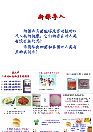 2014年秋八年级生物上册 5.5.2 人类对细菌和真菌的利用课件 新人教版
