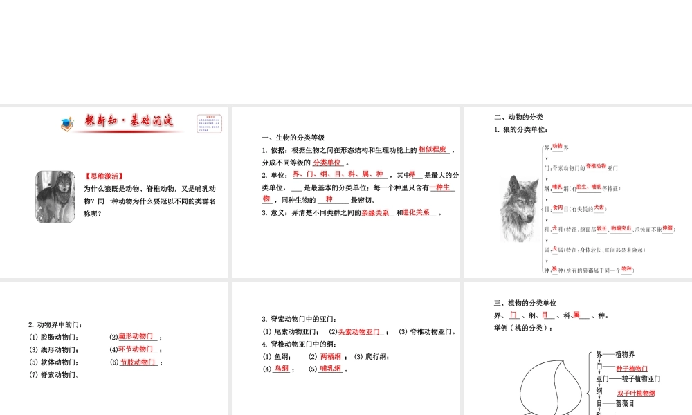 2014年秋八年级生物上册 6.1.2 从种到界课件 （新版）新人教版