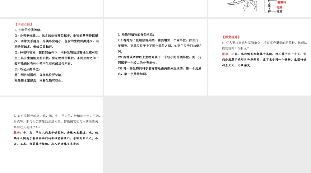 2014年秋八年级生物上册 6.1.2 从种到界课件 （新版）新人教版