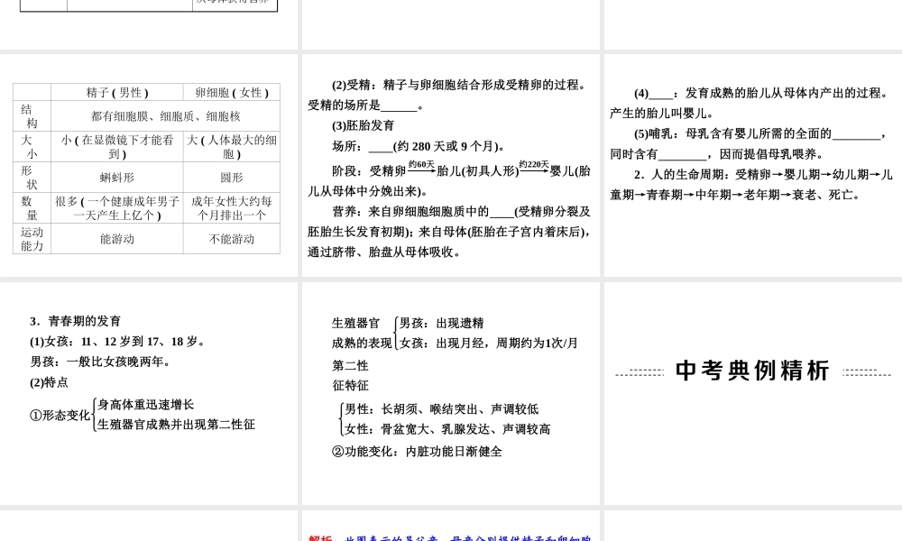2014年中考科学专题复习 第一部分 生命科学 8 人类及动物的,生殖与发育课件