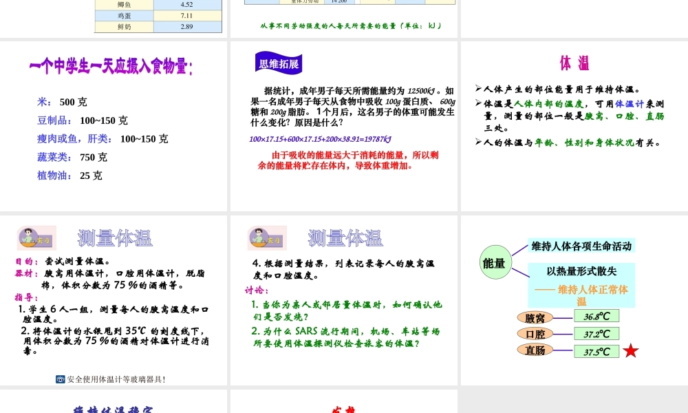 2014七年级生物下册 4.10.5 人体能量的供给课件一 （新版）苏教版