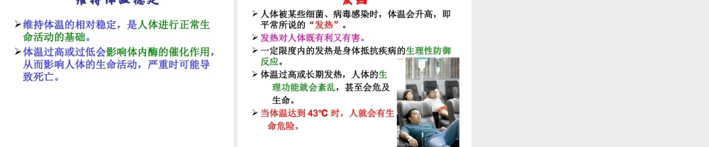 2014七年级生物下册 4.10.5 人体能量的供给课件一 （新版）苏教版